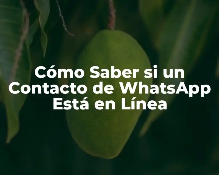 Cómo Saber si un Contacto de WhatsApp Está en Línea