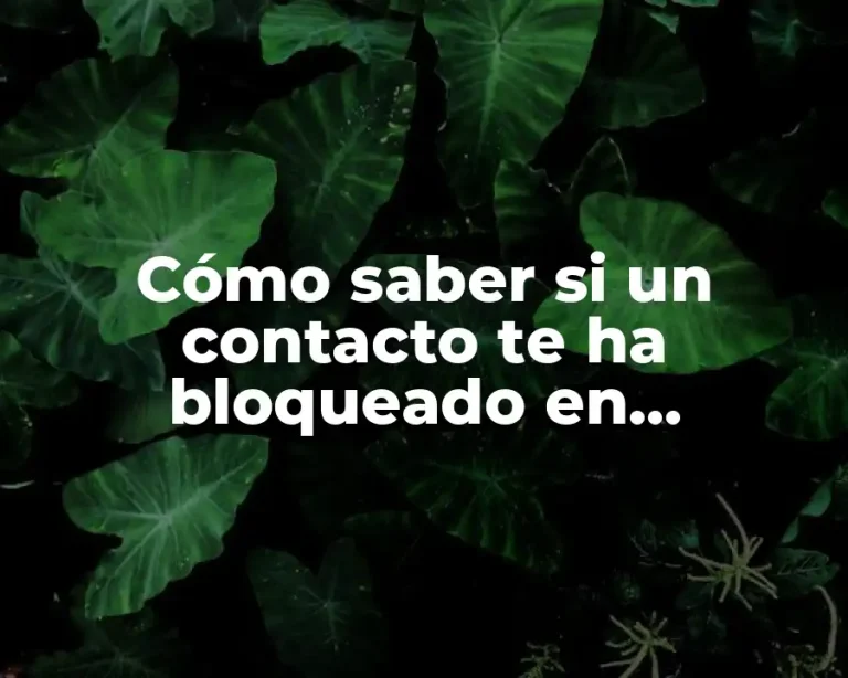 Cómo saber si un contacto te ha bloqueado en WhatsApp