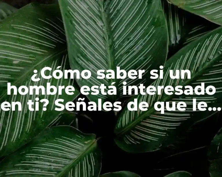¿Cómo saber si un hombre está interesado en ti? Señales de que le gustas a un hombre