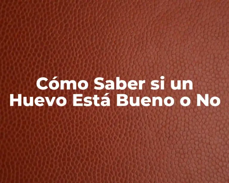 Cómo Saber si un Huevo Está Bueno o No