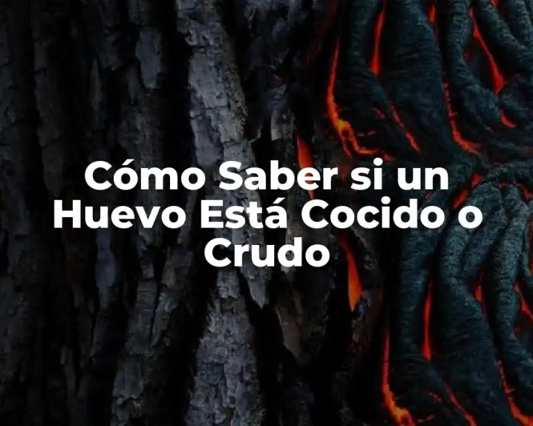 Cómo Saber si un Huevo Está Cocido o Crudo