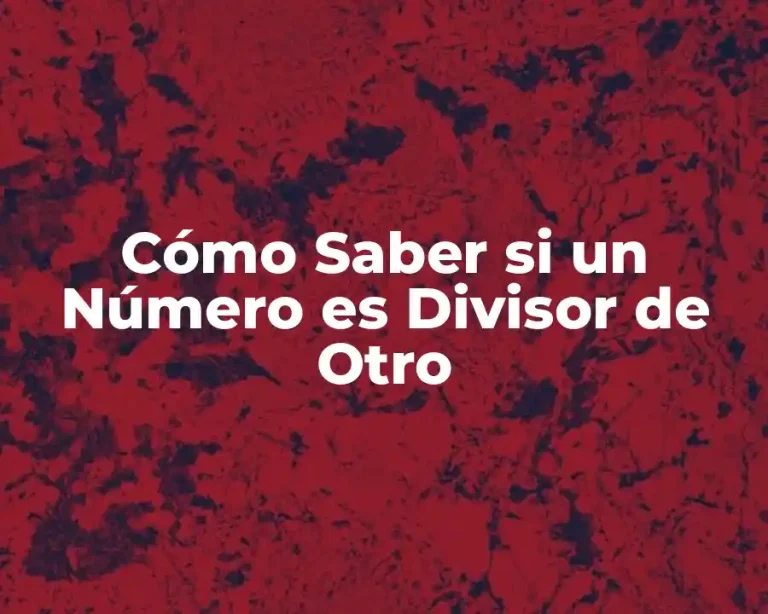 Cómo Saber si un Número es Divisor de Otro