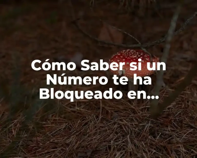 Cómo Saber si un Número te ha Bloqueado en WhatsApp