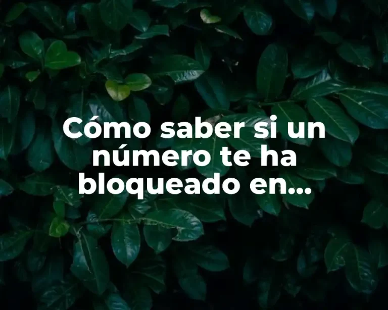 Cómo saber si un número te ha bloqueado en WhatsApp y cómo proceder