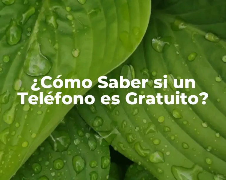 ¿Cómo Saber si un Teléfono es Gratuito?