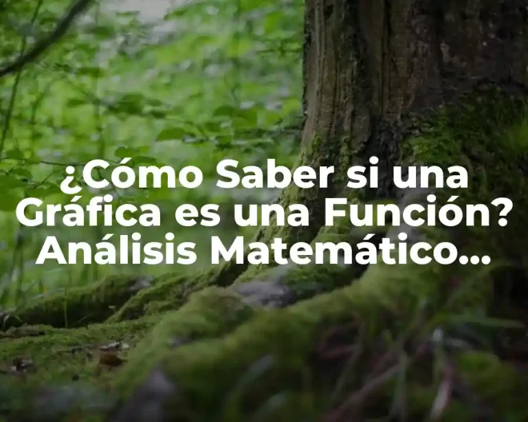 ¿Cómo Saber si una Gráfica es una Función? Análisis Matemático Detallado
