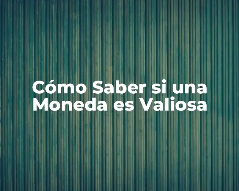 Cómo Saber si una Moneda es Valiosa