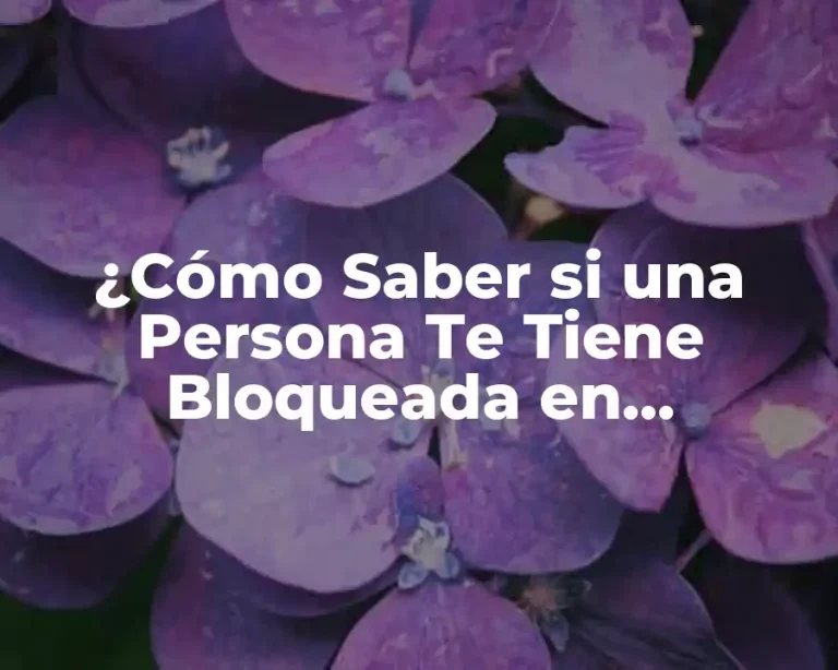 ¿Cómo Saber si una Persona Te Tiene Bloqueada en WhatsApp?