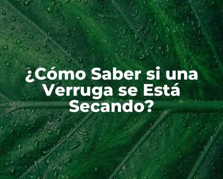 ¿Cómo Saber si una Verruga se Está Secando?