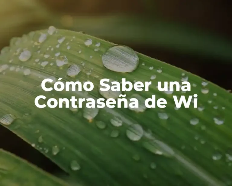 Cómo Saber una Contraseña de Wi