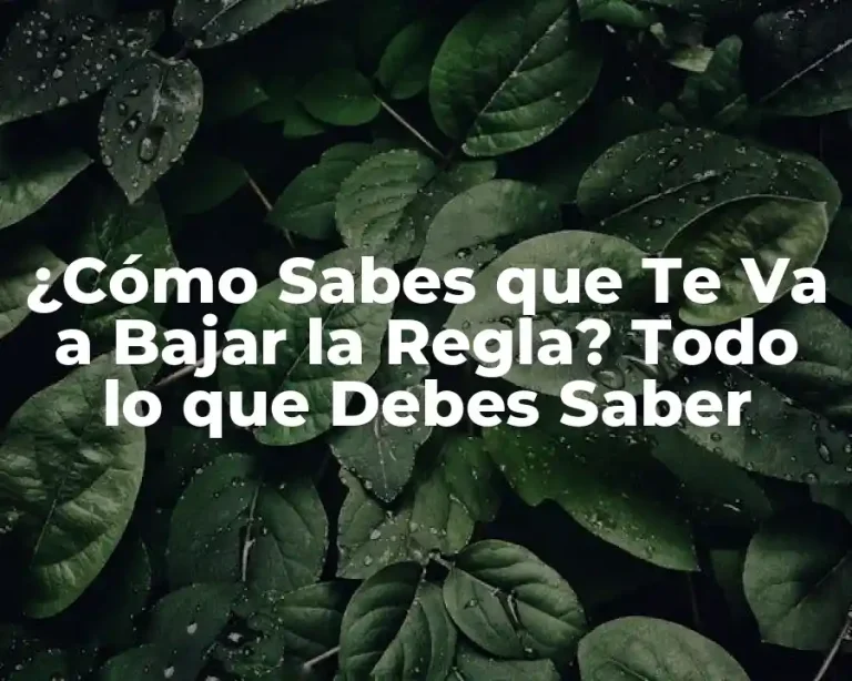 ¿Cómo Sabes que Te Va a Bajar la Regla? Todo lo que Debes Saber