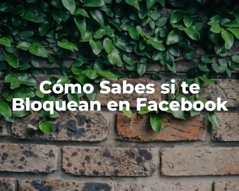 Cómo Sabes si te Bloquean en Facebook