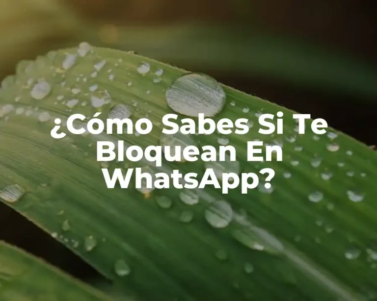 ¿Cómo Sabes Si Te Bloquean En WhatsApp?