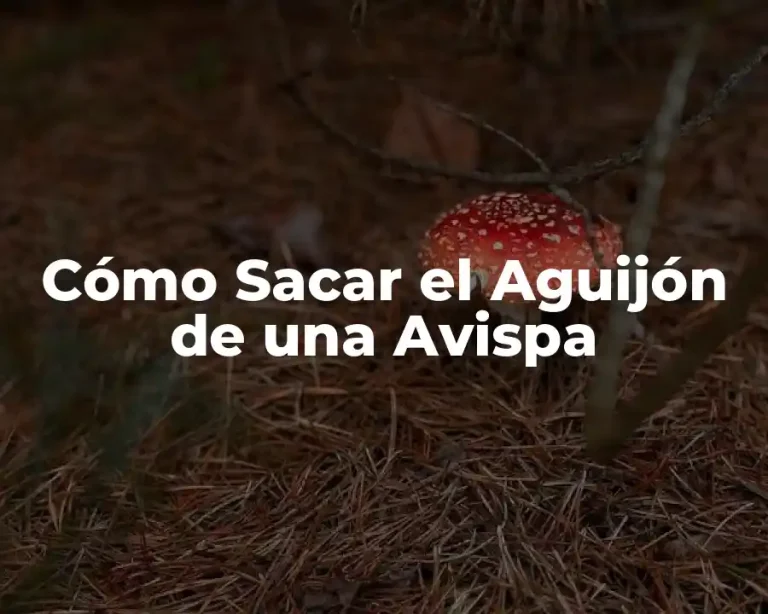Cómo Sacar el Aguijón de una Avispa