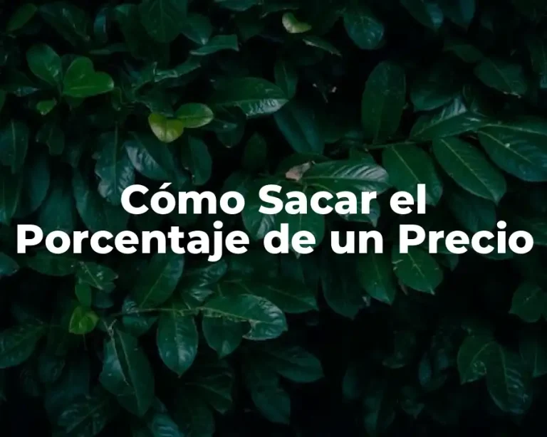 Cómo Sacar el Porcentaje de un Precio