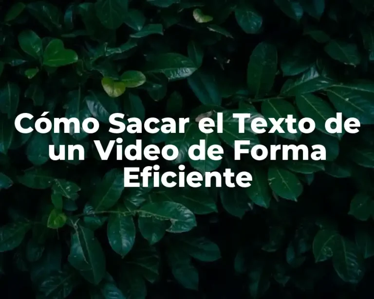 Cómo Sacar el Texto de un Video de Forma Eficiente