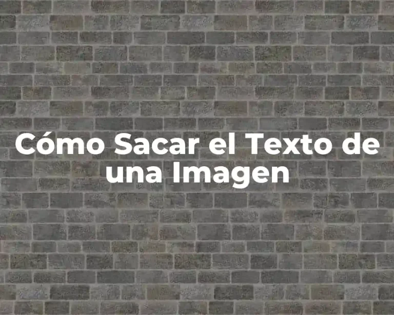 Cómo Sacar el Texto de una Imagen