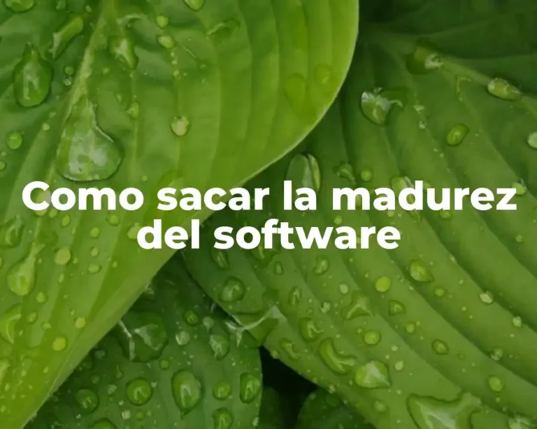 Como sacar la madurez del software