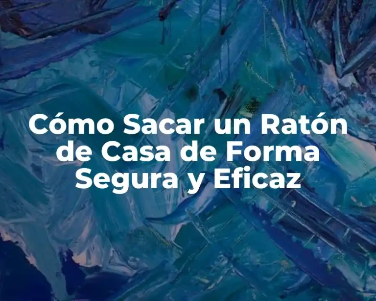 Cómo Sacar un Ratón de Casa de Forma Segura y Eficaz