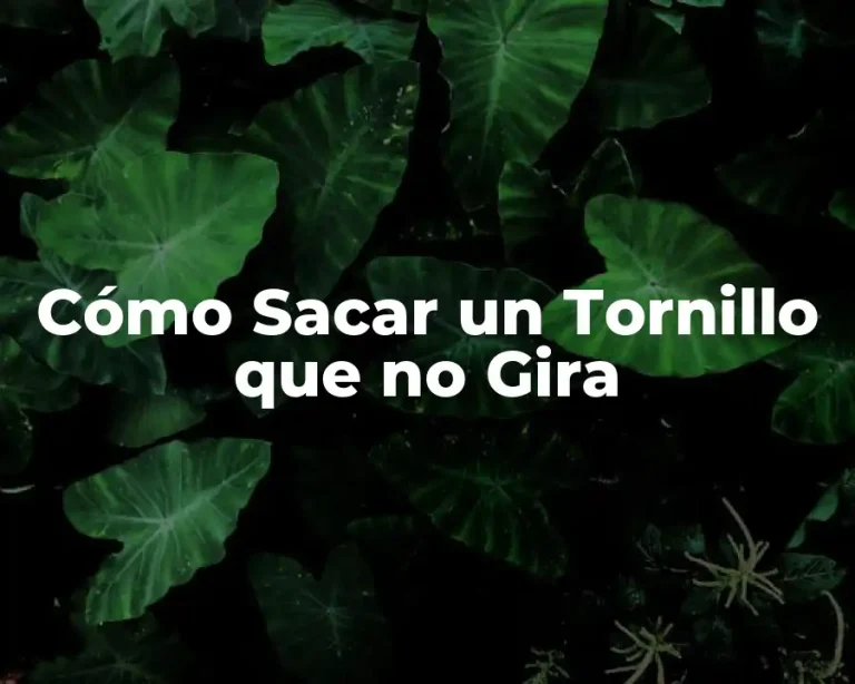 Cómo Sacar un Tornillo que no Gira