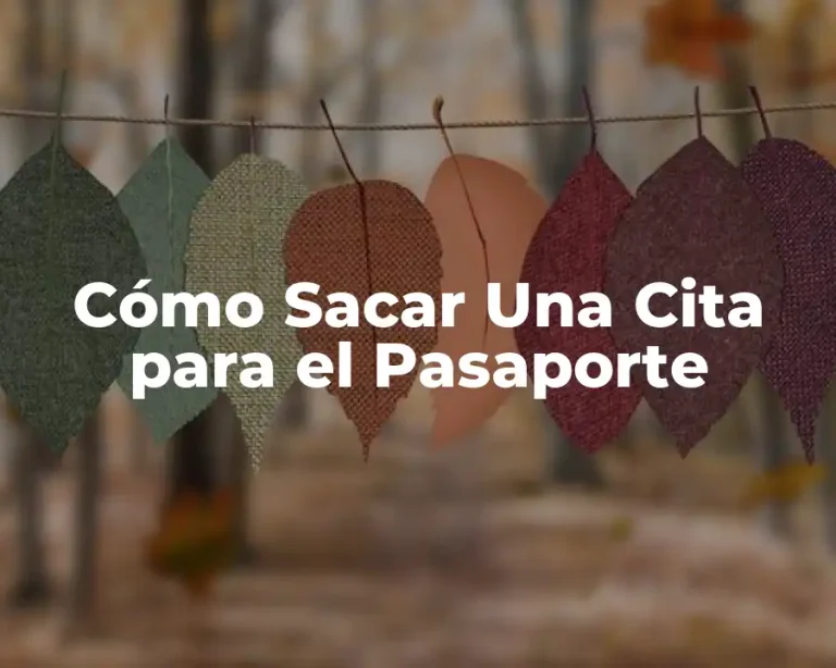 Cómo Sacar Una Cita para el Pasaporte