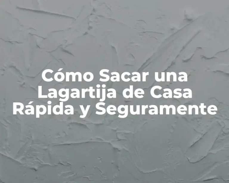 Cómo Sacar una Lagartija de Casa Rápida y Seguramente