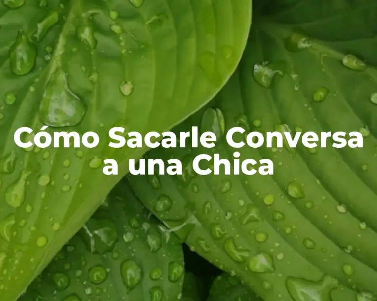 Cómo Sacarle Conversa a una Chica