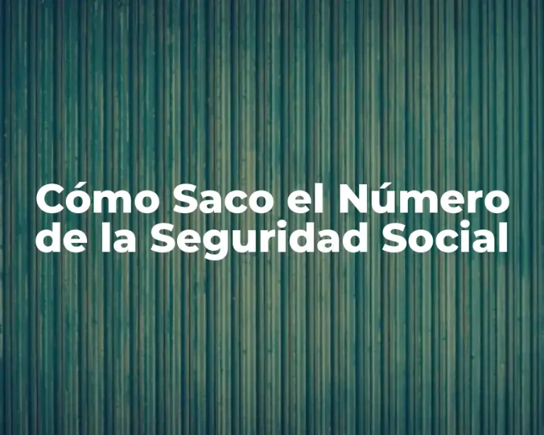 Cómo Saco el Número de la Seguridad Social