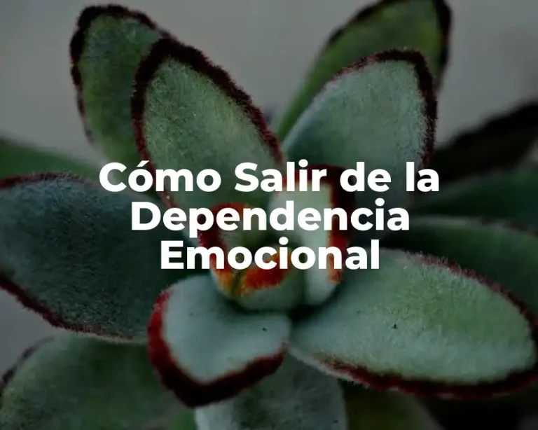 Cómo Salir de la Dependencia Emocional