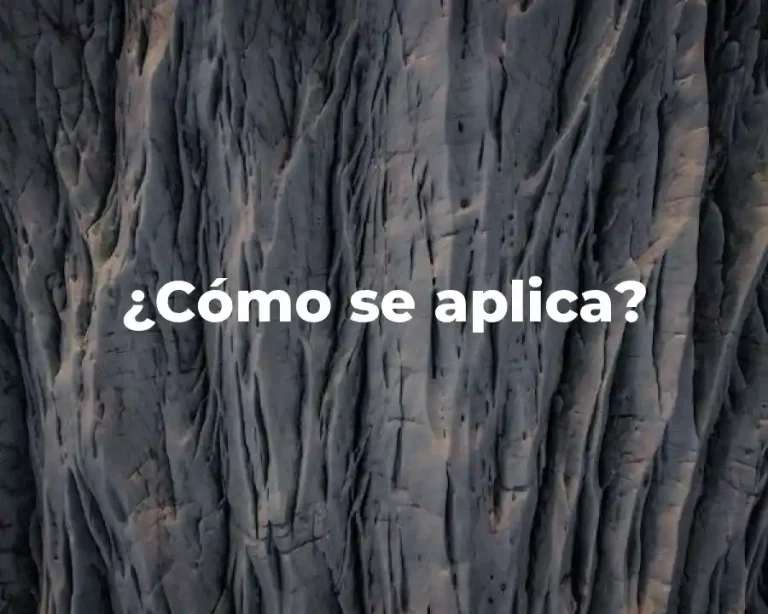 ¿Cómo se aplica?