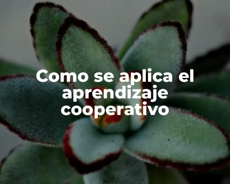 Como se aplica el aprendizaje cooperativo