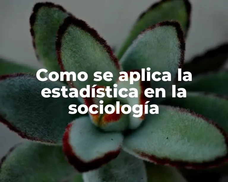 Como se aplica la estadística en la sociología