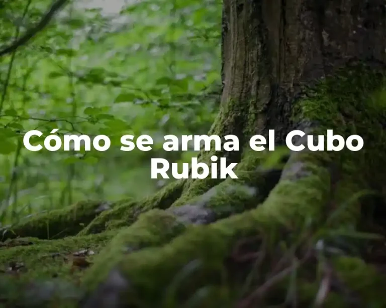 Cómo se arma el Cubo Rubik