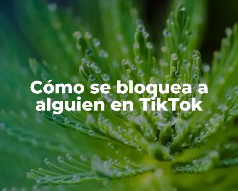 Cómo se bloquea a alguien en TikTok