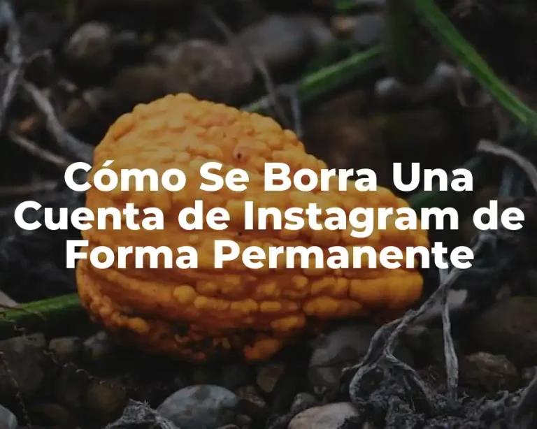 Cómo Se Borra Una Cuenta de Instagram de Forma Permanente