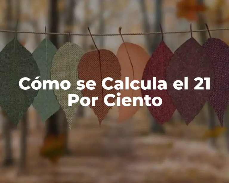 Cómo se Calcula el 21 Por Ciento