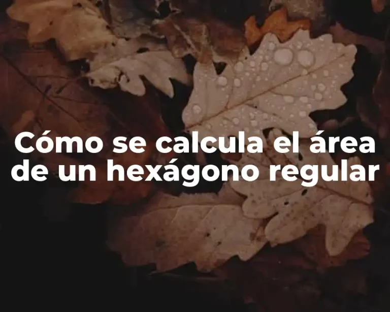 Cómo se calcula el área de un hexágono regular
