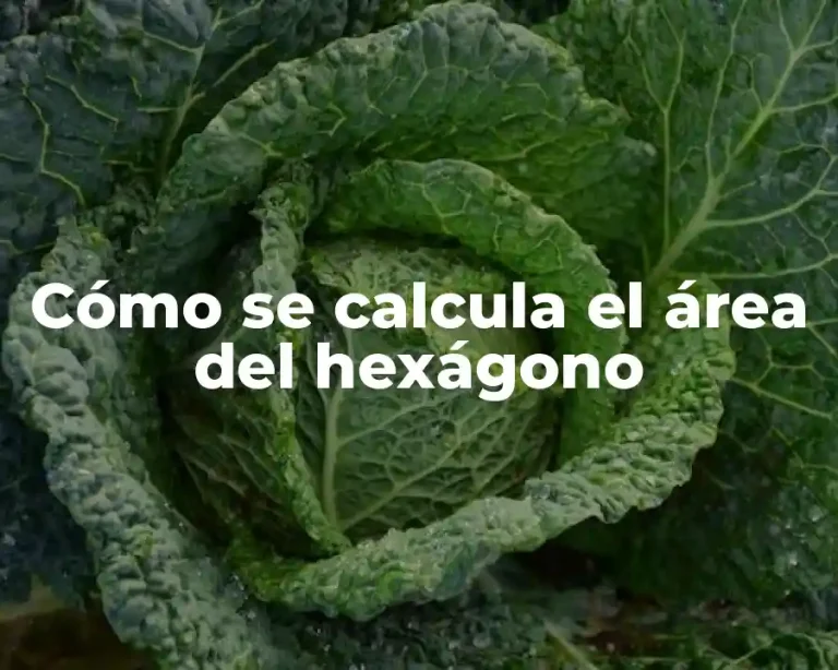 Cómo se calcula el área del hexágono