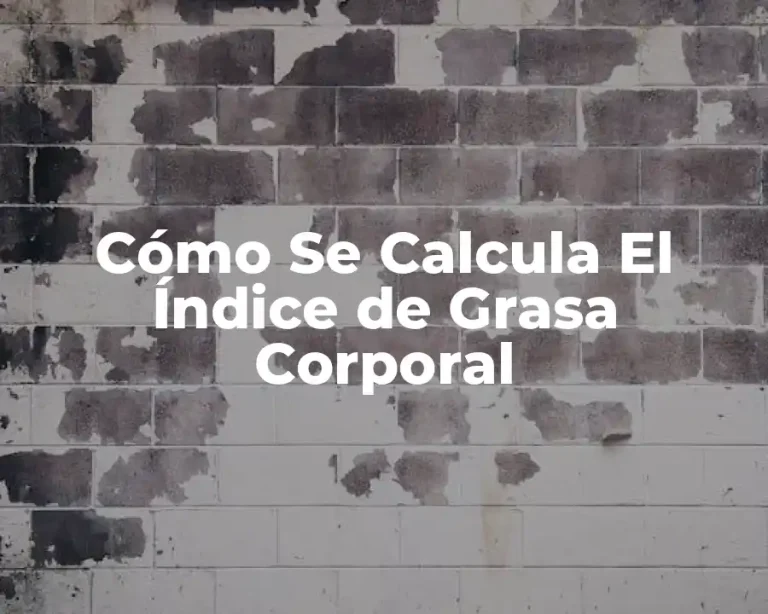 Cómo Se Calcula El Índice de Grasa Corporal