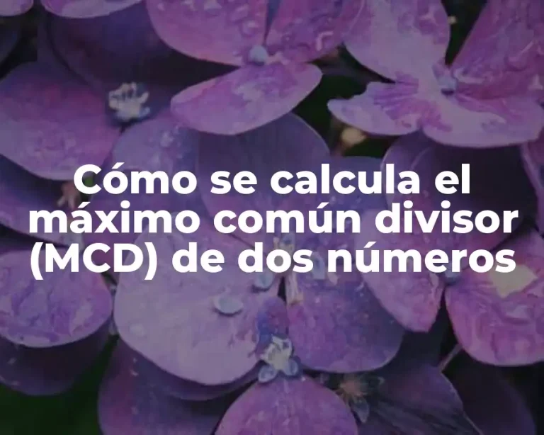 Cómo se calcula el máximo común divisor (MCD) de dos números