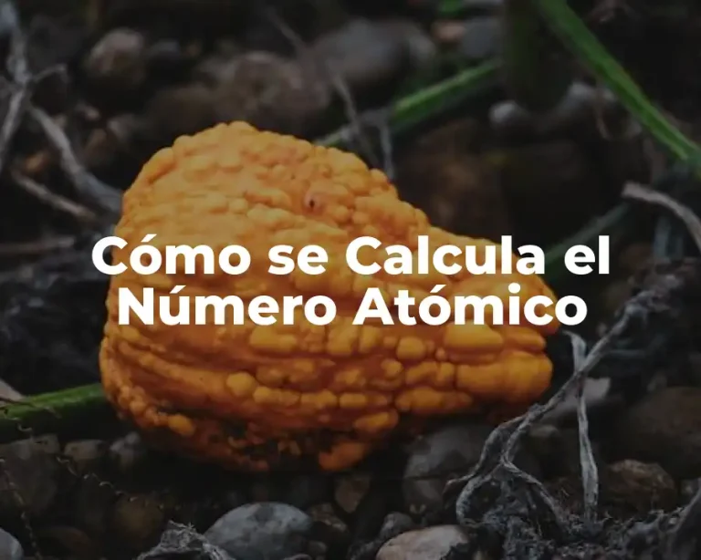 Cómo se Calcula el Número Atómico