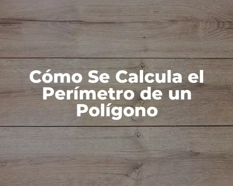 Cómo Se Calcula el Perímetro de un Polígono