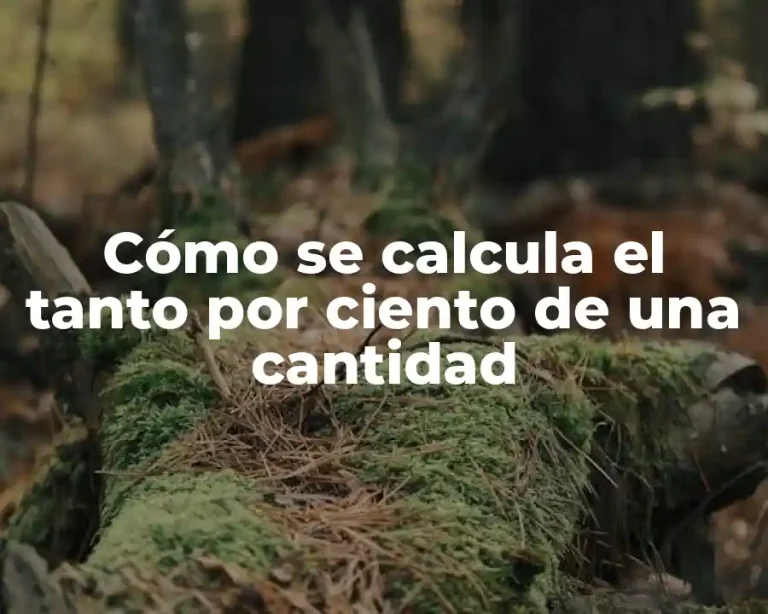 Cómo se calcula el tanto por ciento de una cantidad
