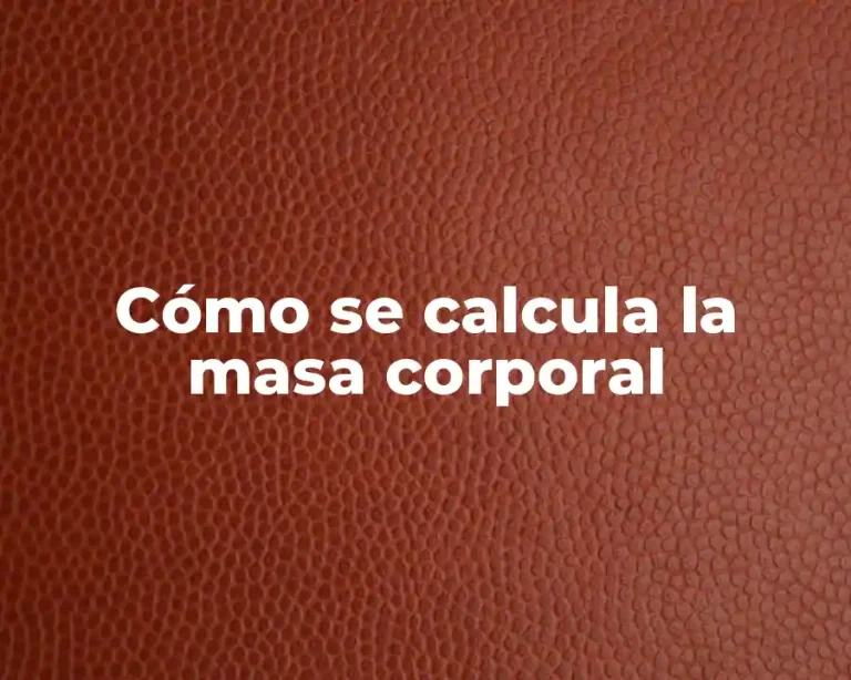 Cómo se calcula la masa corporal