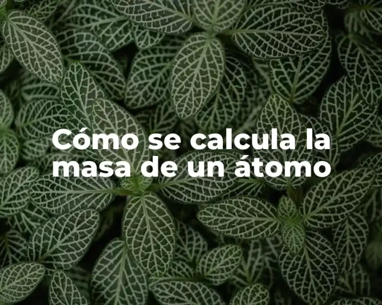 Cómo se calcula la masa de un átomo