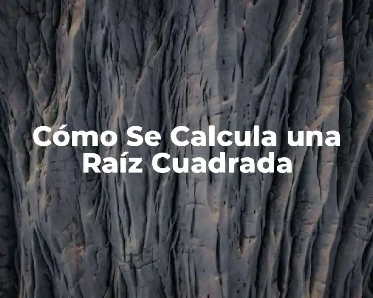 Cómo Se Calcula una Raíz Cuadrada