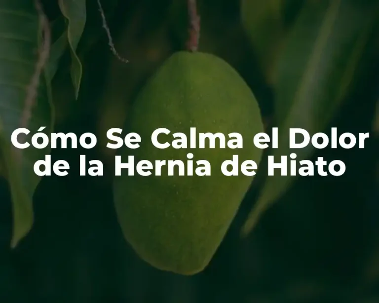 Cómo Se Calma el Dolor de la Hernia de Hiato