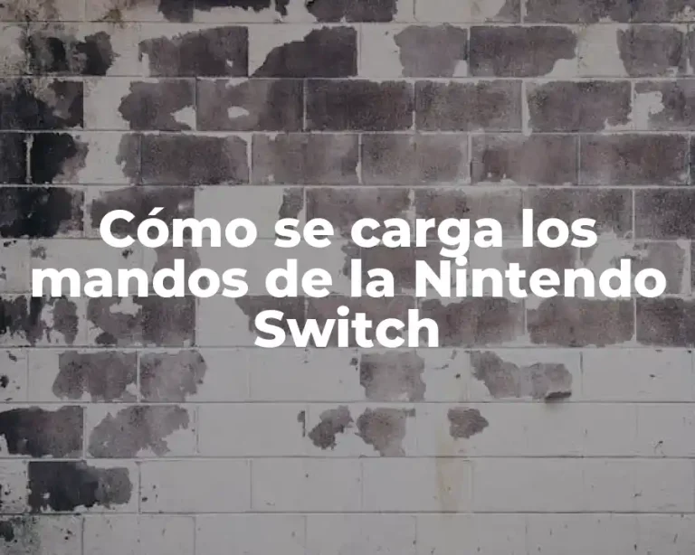 Cómo se carga los mandos de la Nintendo Switch