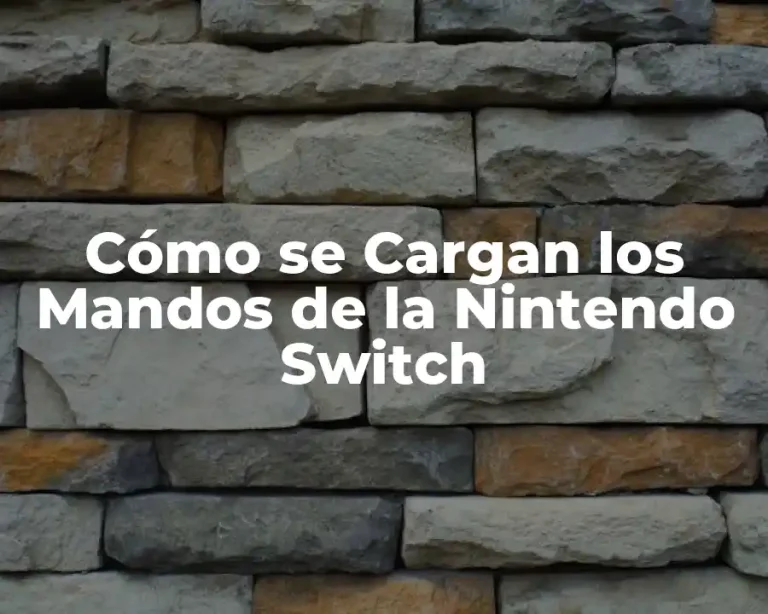 Cómo se Cargan los Mandos de la Nintendo Switch