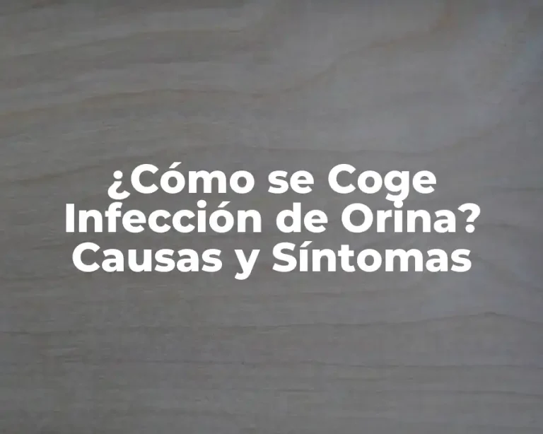 ¿Cómo se Coge Infección de Orina? Causas y Síntomas